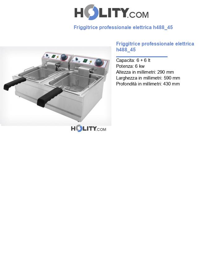 Friggitrice professionale elettrica h488_45