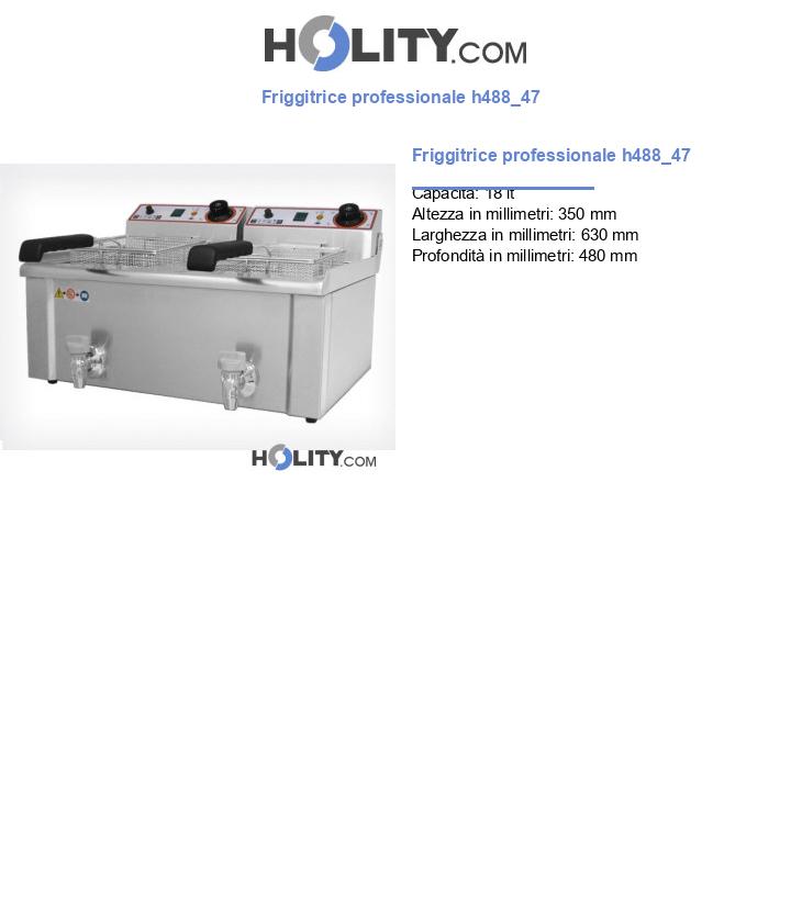 Friggitrice professionale h488_47