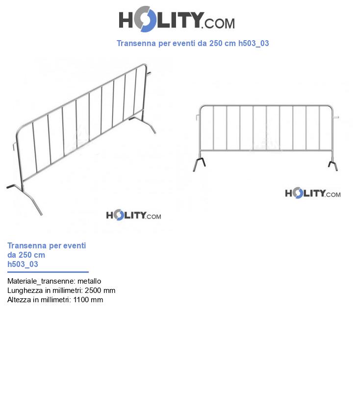 Transenna per eventi da 250 cm h503_03