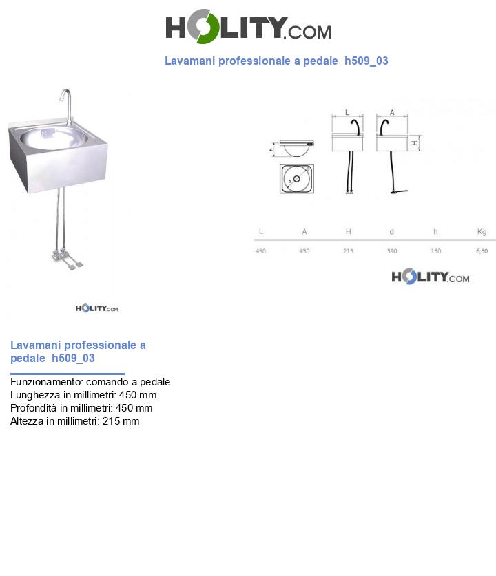 Lavamani professionale a pedale h509_03