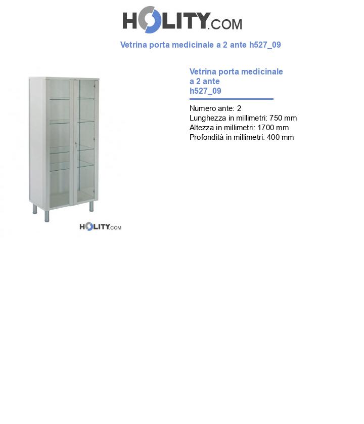 Vetrina porta medicinale a 2 ante h527_09