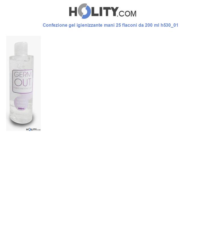 Confezione gel igienizzante mani 25 flaconi da 200 ml h530_01