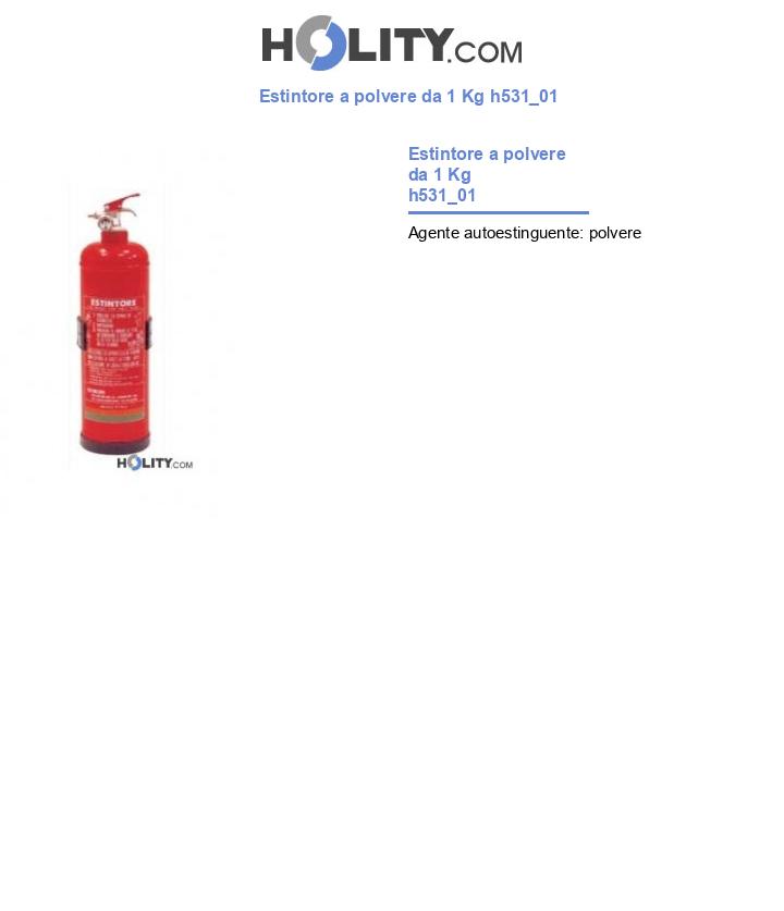 Estintore a polvere da 1 Kg h531_01