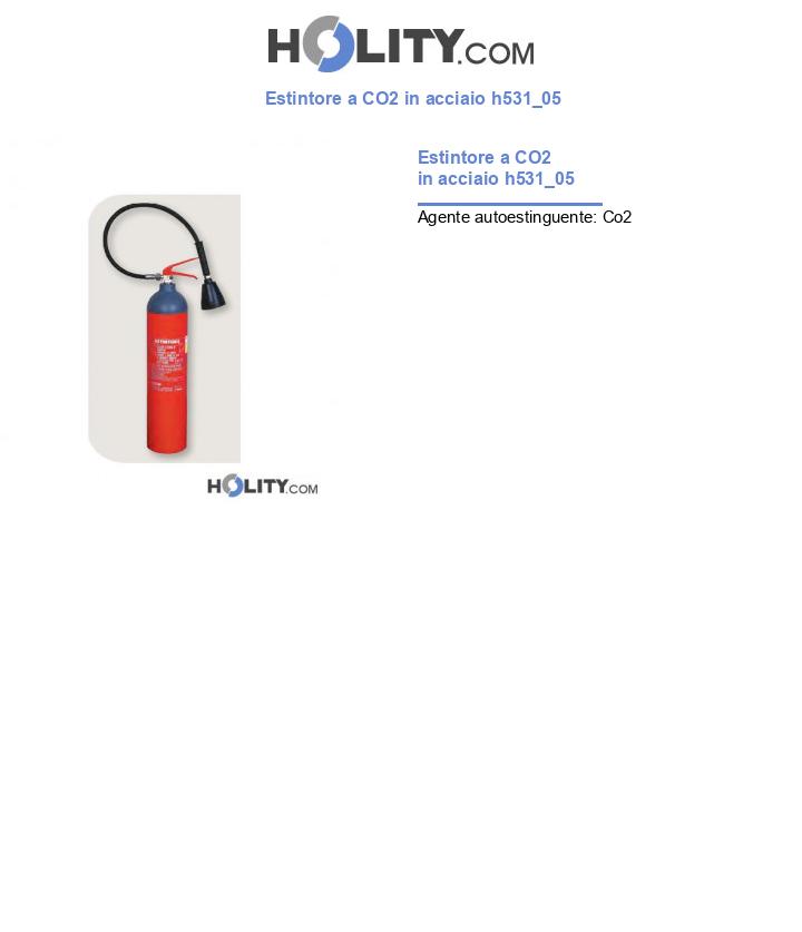 Estintore a CO2 in acciaio h531_05