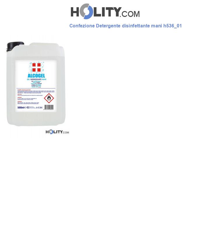 Confezione Detergente disinfettante mani h536_01