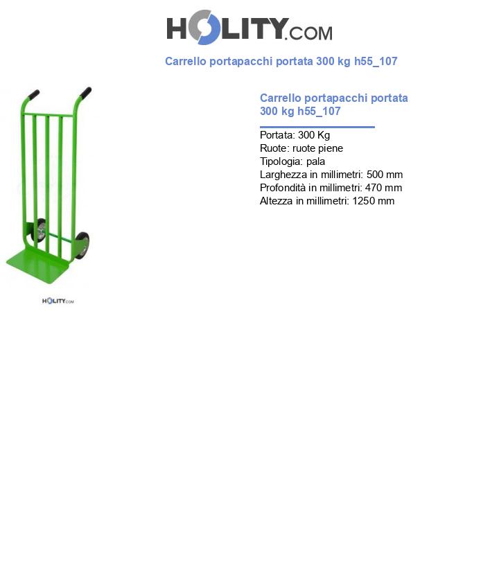 Carrello portapacchi portata 300 kg h55_107