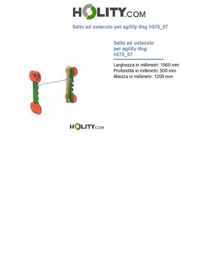 Salto ad ostacolo per agility dog h575_57