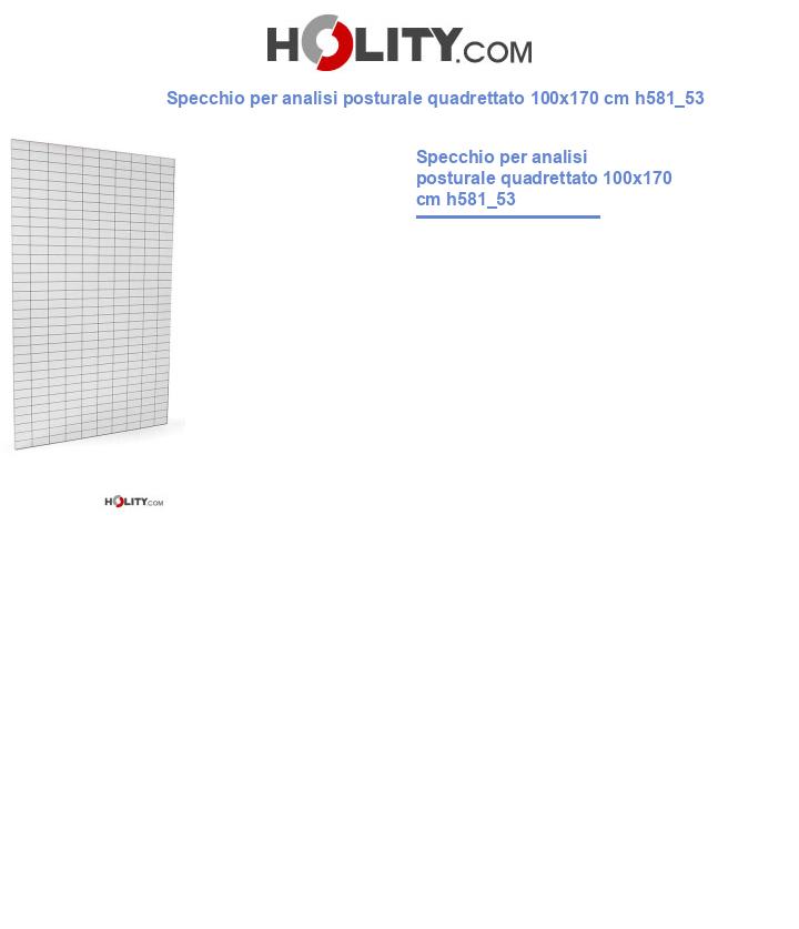 Specchio per analisi posturale quadrettato 170x100 cm h581_53