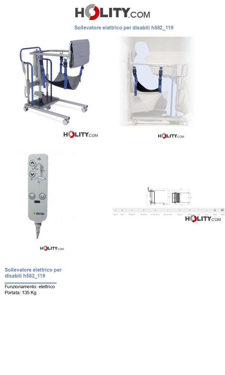 Sollevatore elettrico per disabili h582_119