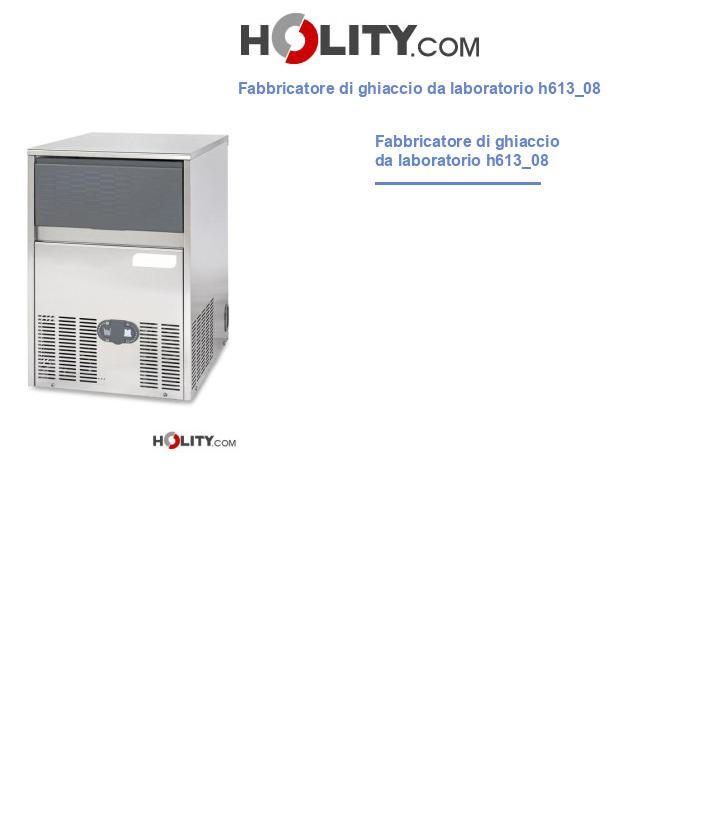 Fabbricatore di ghiaccio da laboratorio h613_08