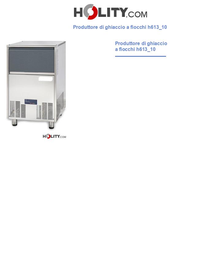 Produttore di ghiaccio a fiocchi h613_10