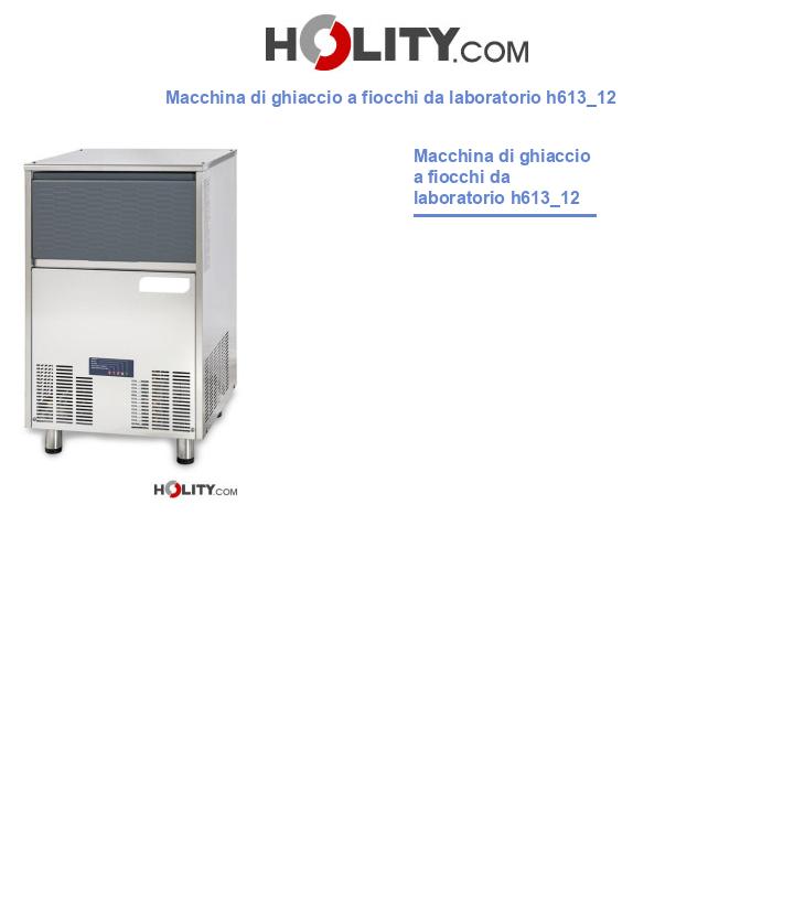 Macchina di ghiaccio a fiocchi da laboratorio h613_12