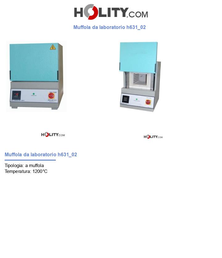Muffola da laboratorio h631_02