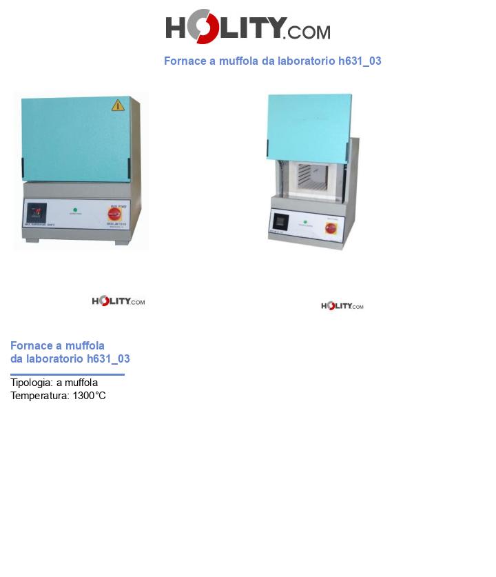 Fornace a muffola da laboratorio h631_03