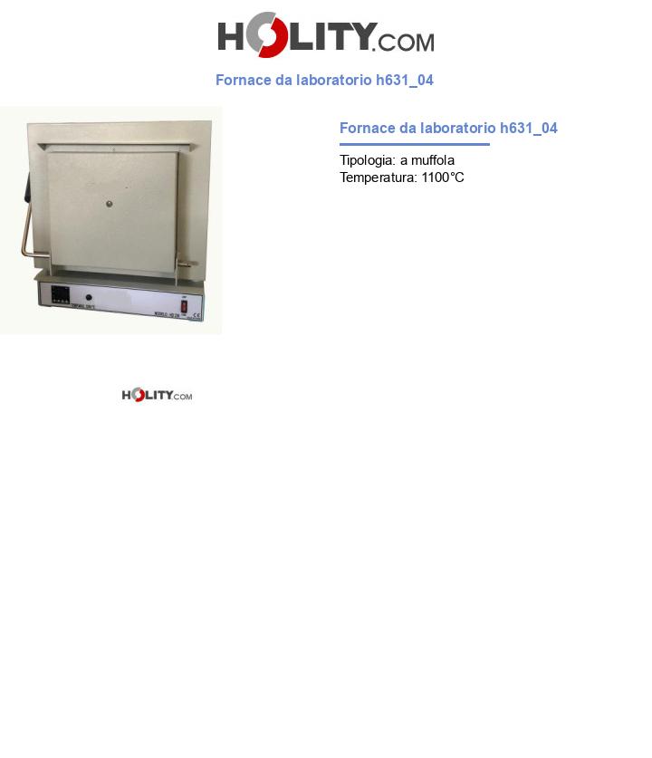 Fornace da laboratorio h631_04