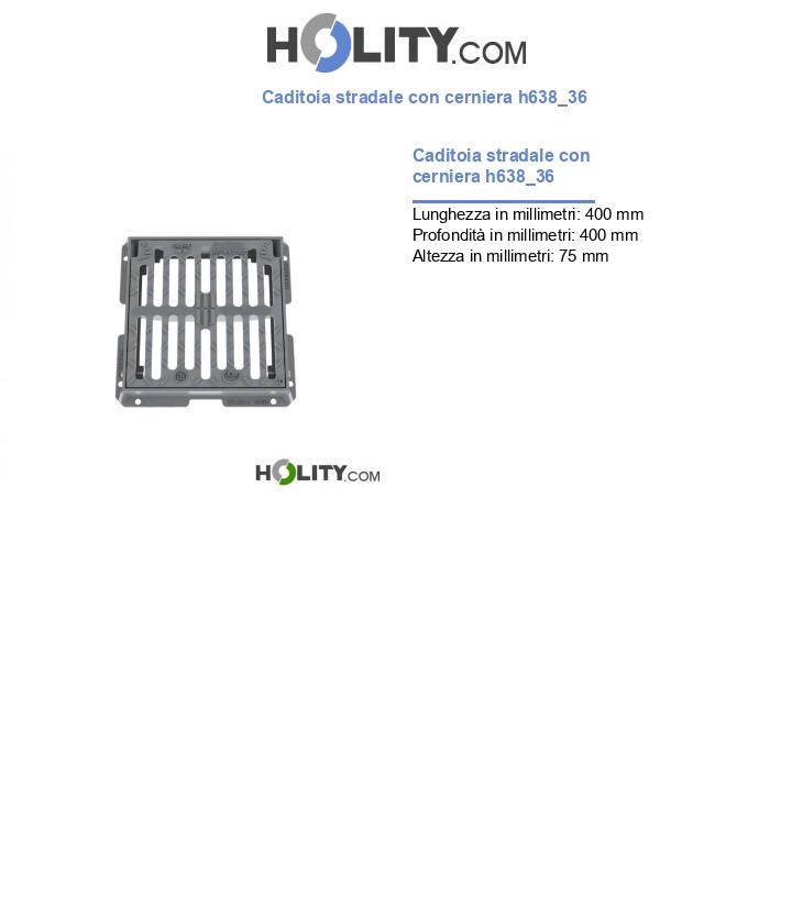 Caditoia stradale con cerniera h638_36
