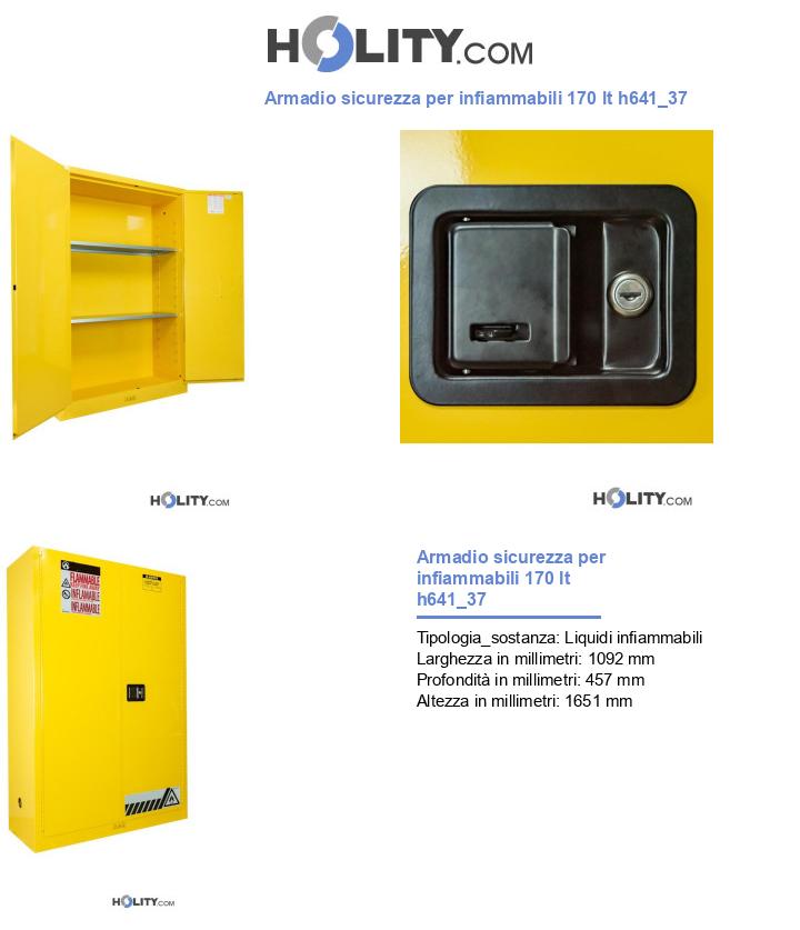 Armadio sicurezza per infiammabili 170 lt h641_37