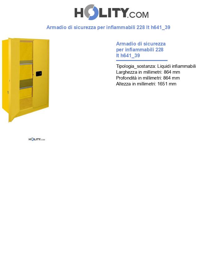 Armadio di sicurezza per infiammabili 228 lt h641_39
