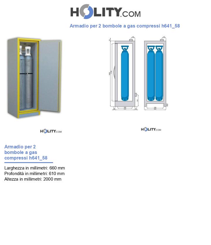 Armadio per 2 bombole a gas compressi h641_58