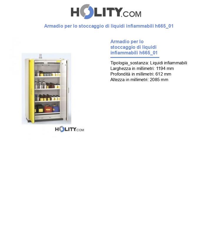 Armadio per lo stoccaggio di liquidi infiammabili h665_01