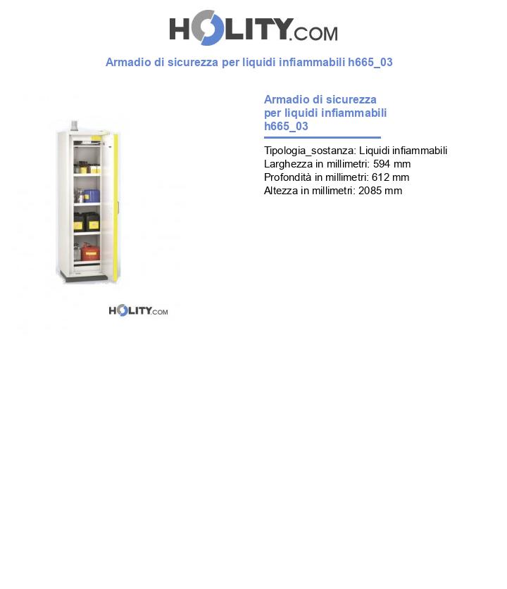 Armadio di sicurezza per liquidi infiammabili h665_03