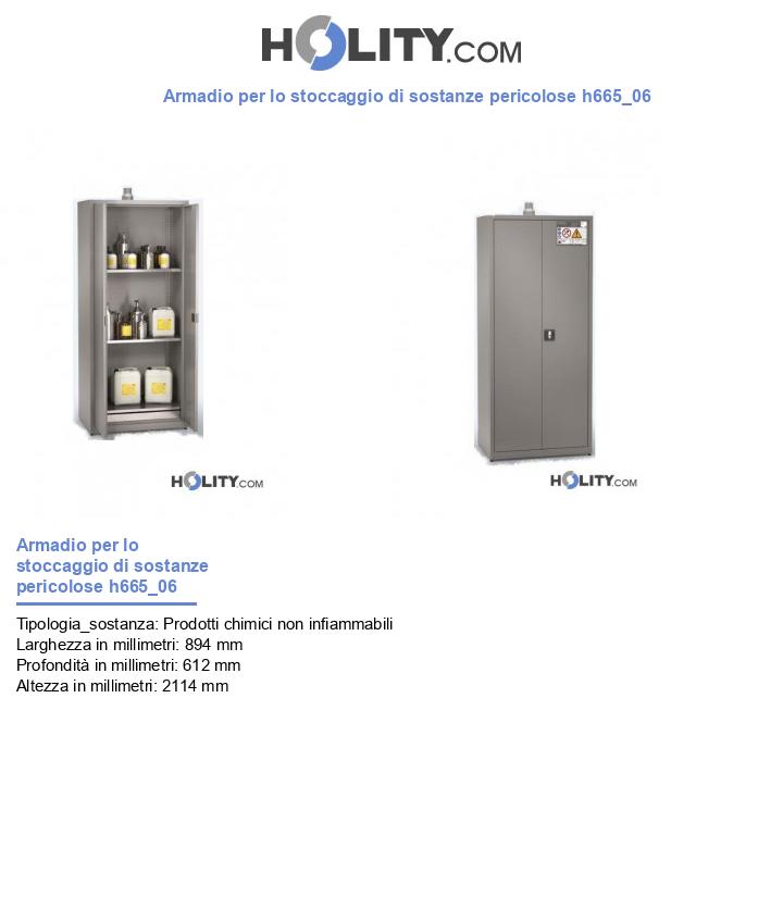 Armadio per lo stoccaggio di sostanze pericolose h665_06