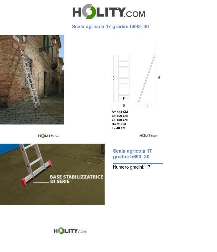 Scala agricola 17 gradini h693_30