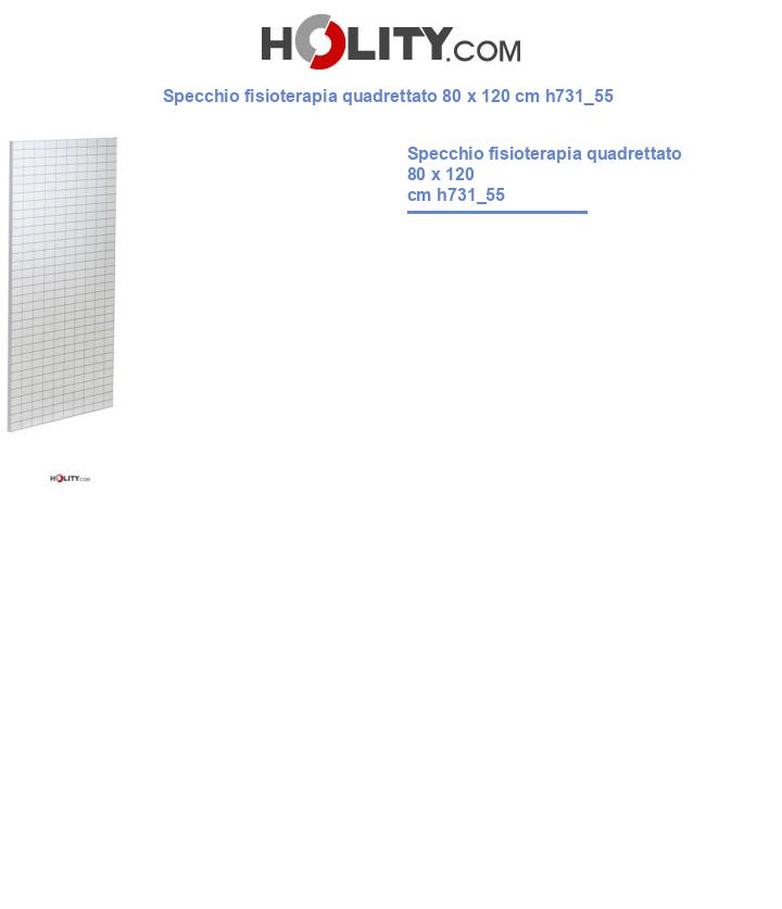 Specchio fisioterapia quadrettato 80 x 120 cm h731_55