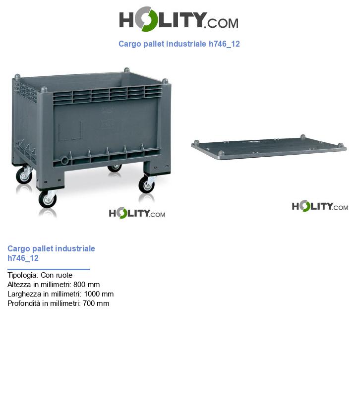 Cargo pallet industriale h746_12