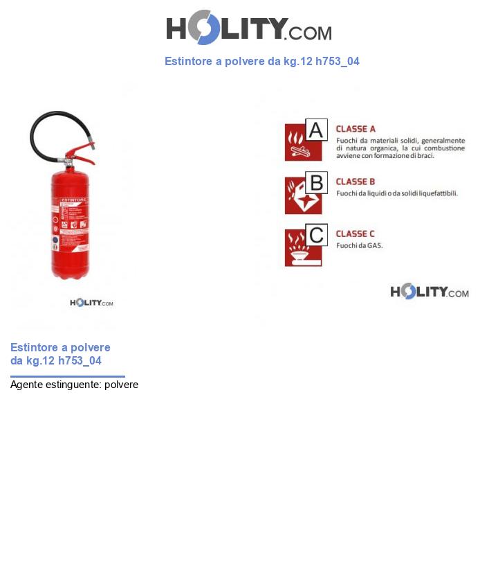 Estintore a polvere da kg.12 h753_04