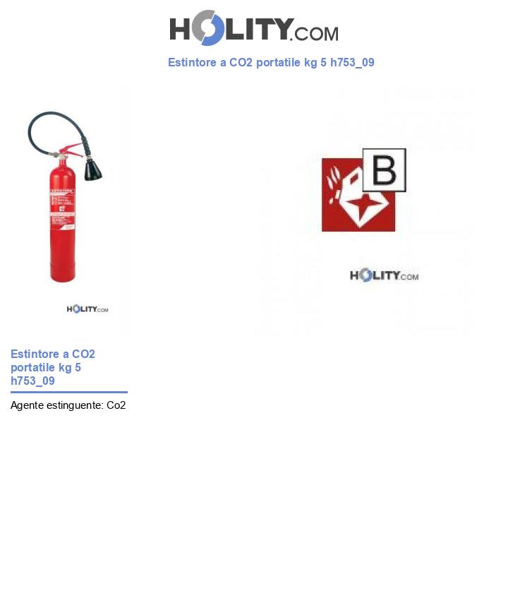 Estintore a CO2 portatile kg 5 h753_09