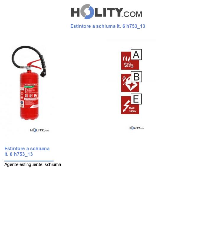 Estintore a schiuma lt. 6 h753_13