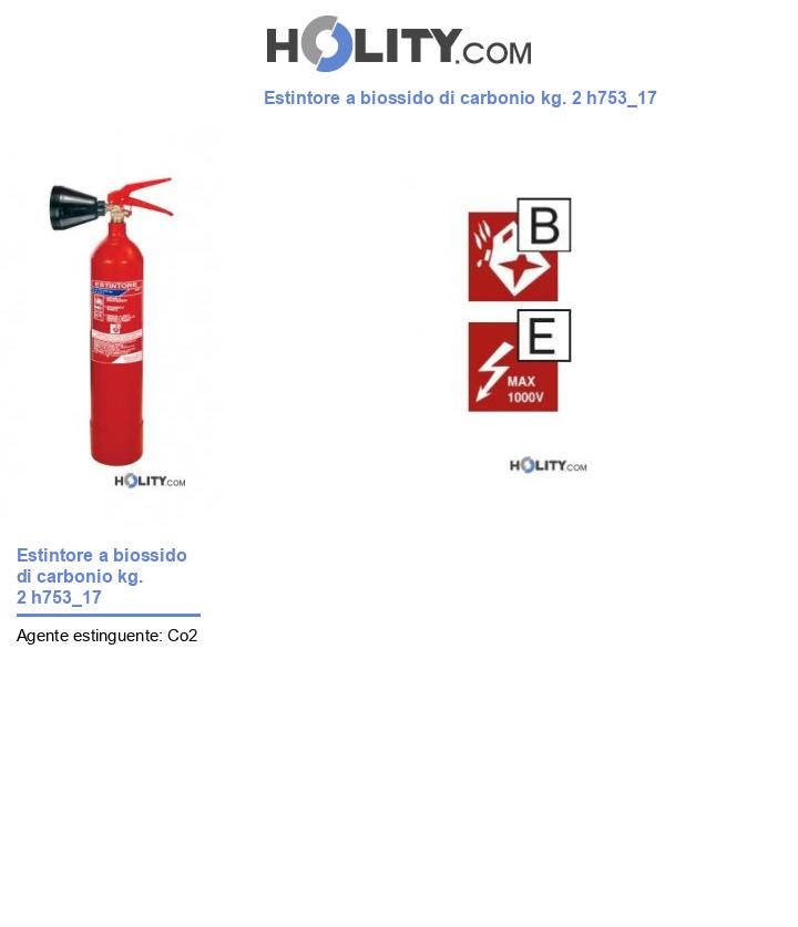 Estintore a biossido di carbonio kg. 2 h753_17