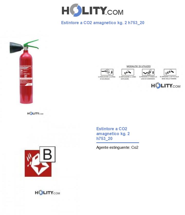 Estintore a CO2 amagnetico kg. 2 h753_20