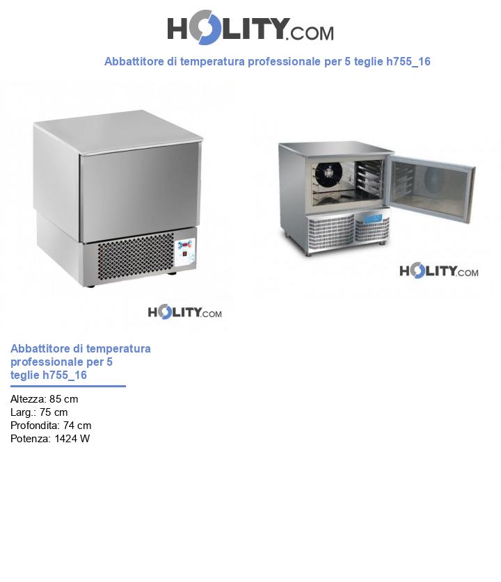 Abbattitore di temperatura professionale per 5 teglie h755_16