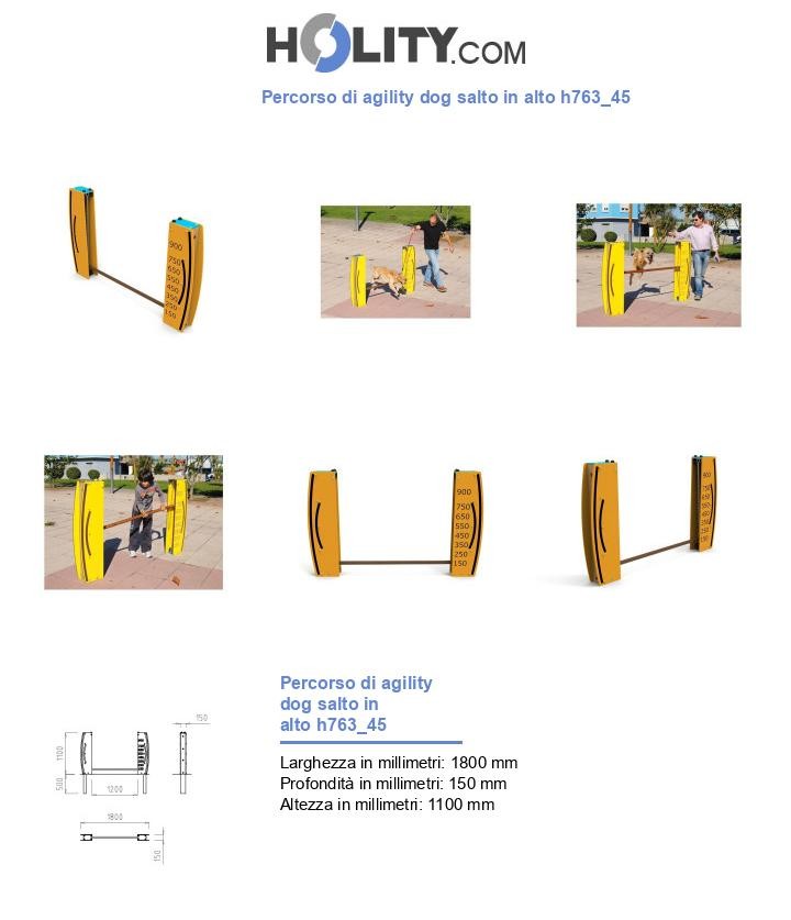 Percorso di agility dog salto in alto h763_45