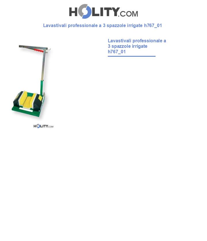 Lavastivali professionale a 3 spazzole irrigate h767_01