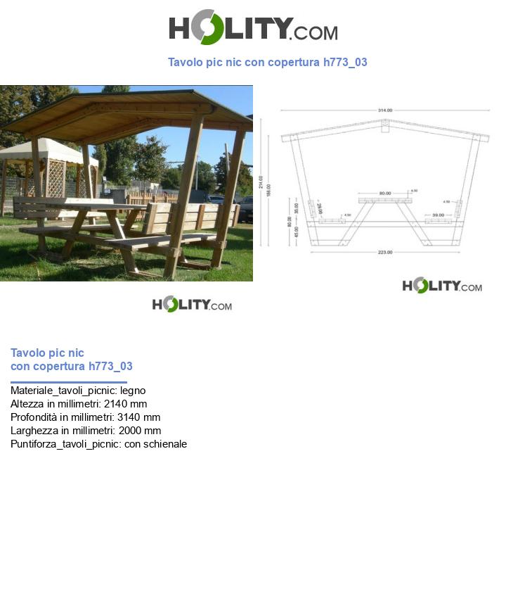 Tavolo pic nic con copertura h773_03