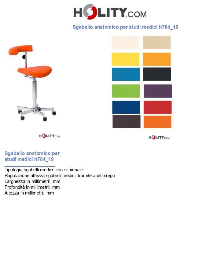 Sgabello anatomico per studi medici h784_19