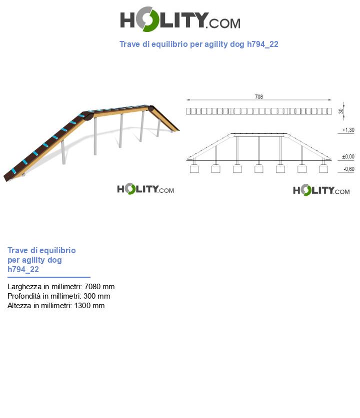 Trave di equilibrio per agility dog h794_22