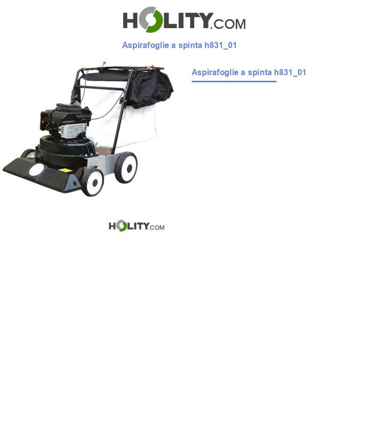 Aspirafoglie a spinta h831_01