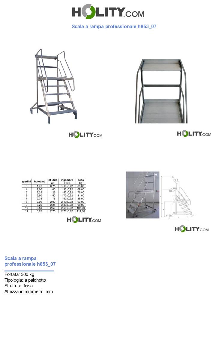 Scala a rampa professionale h853_07