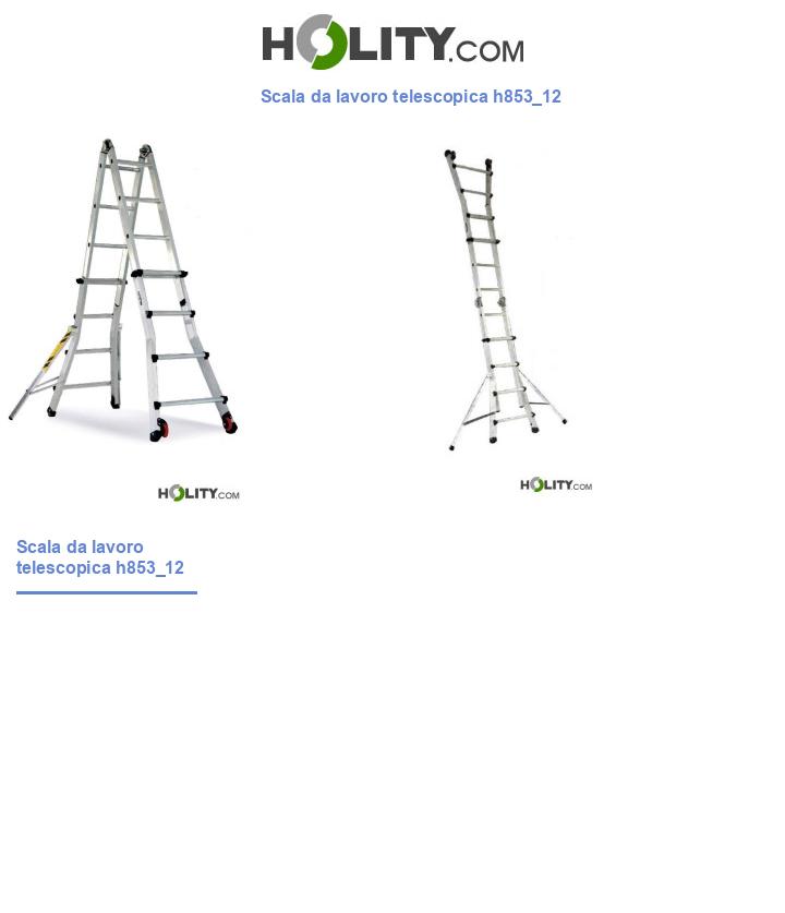 Scala da lavoro telescopica h853_12