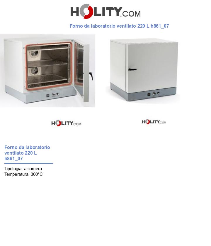 Forno da laboratorio ventilato 220 L h861_07