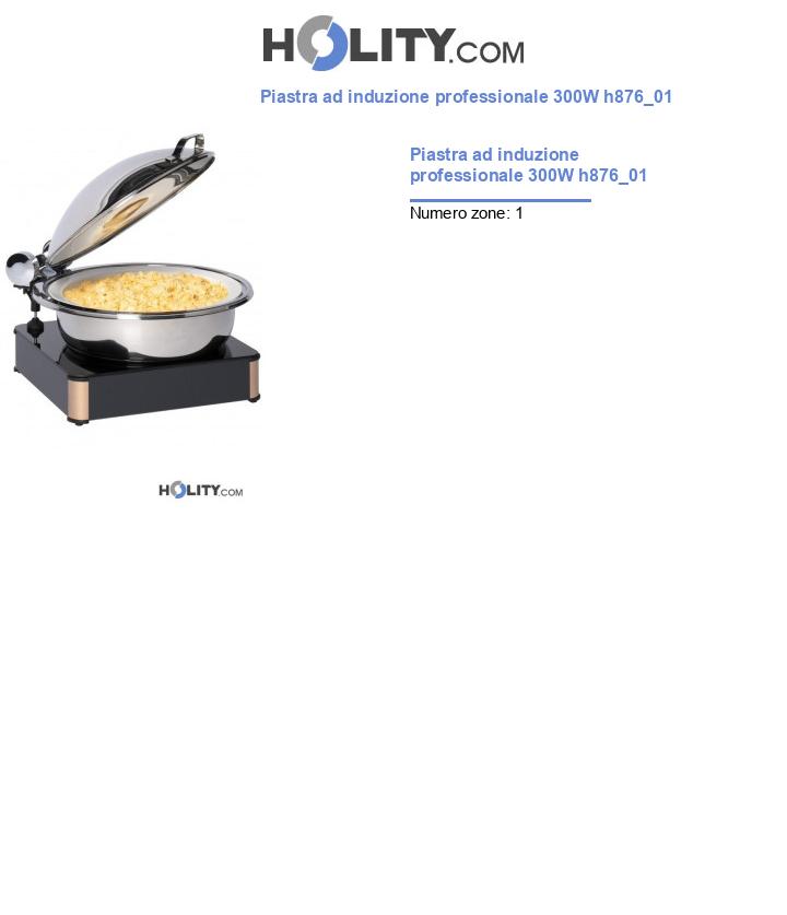 Piastra ad induzione professionale 300W h876_01
