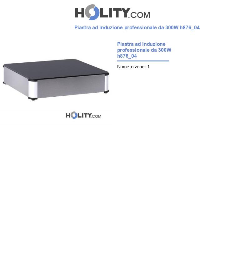 Piastra ad induzione professionale da 300W h876_04