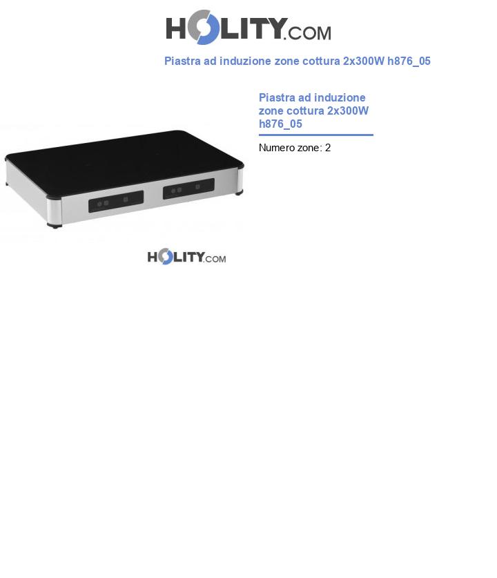 Piastra ad induzione zone cottura 2x300W h876_05