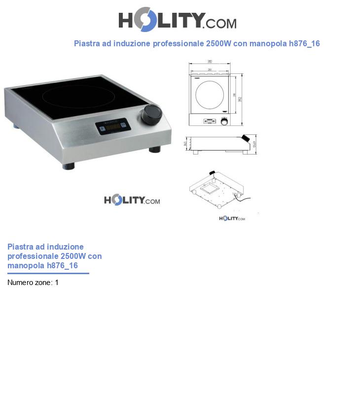 Piastra ad induzione professionale 2500W con manopola h876_16