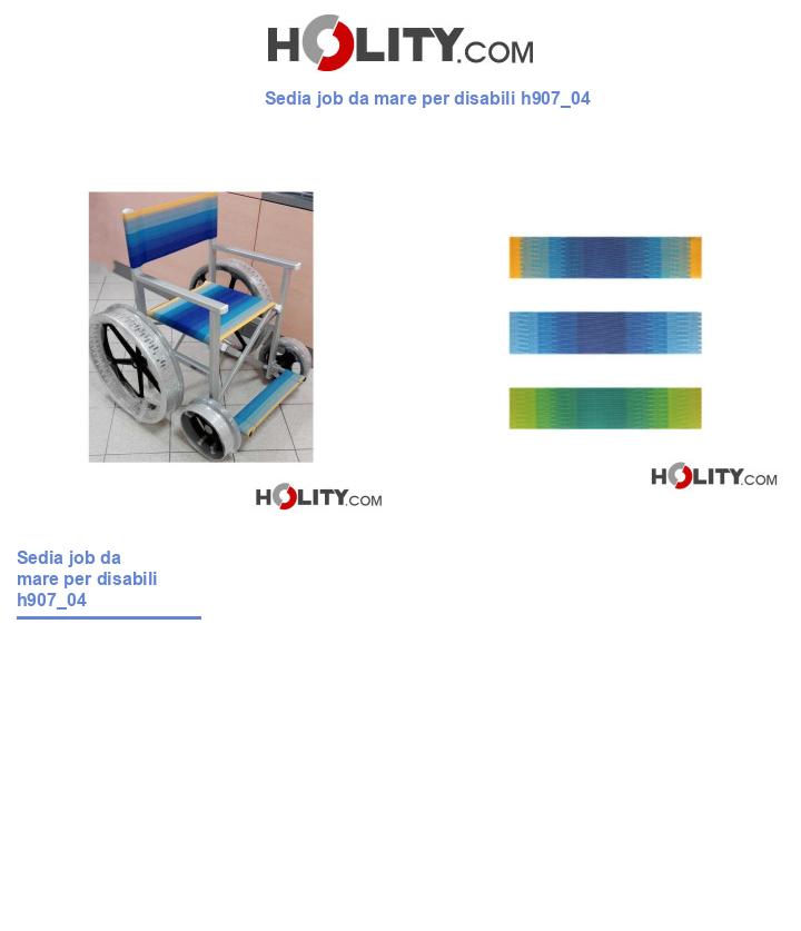 Sedia job da mare per disabili h907_04