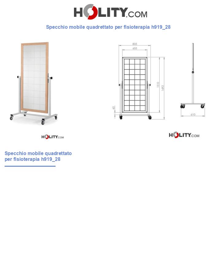Specchio mobile quadrettato per fisioterapia h919_28